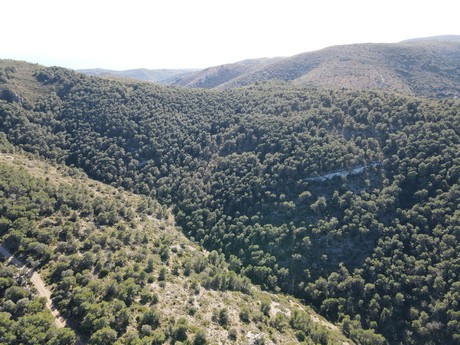 Santa Magdalena de Pulpis